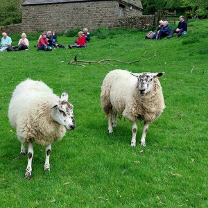 Two interlopers on Stanton walk
