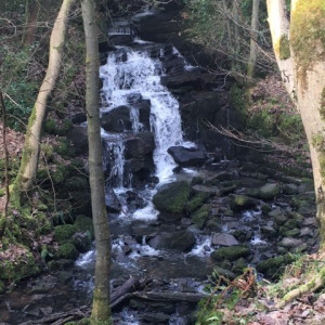 Waterfall at Ladygrove
