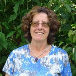 Liz Walker, MAU3A Chair